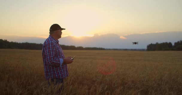 A gazda kezében tartja a távirányítót, miközben a quadcopter a háttérben repül. A drón lebeg az agronómus mögött a búzamezőn. Mezőgazdasági új technológiák és innovációk. — Stock videók