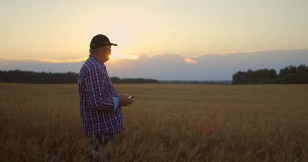 Farmer trzyma pilota rękami, podczas gdy quadcopter leci w tle. Dron unosi się za agronomem na polu pszenicy. Nowe technologie i innowacje w rolnictwie. — Wideo stockowe