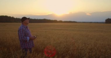 Yaşlı bir erkek çiftçi gün batımında buğday tarlasının üzerinden uçmak için dron kullanır. Tarım alanında modern teknolojiler