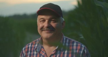 Yaşlı bir çiftçinin portresi yavaş çekimde mısır tarlasında kameraya bakıyor.