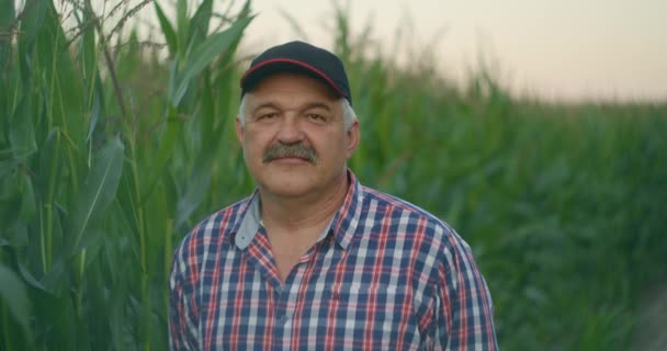 Портрет пожилого фермера, смотрящего в камеру в кепке на кукурузном поле в замедленной съемке — стоковое видео
