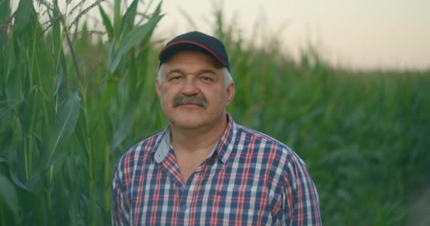 Um agricultor idoso filma um boné de beisebol olhando para a câmera e sorrindo enquanto está em um campo com milho — Vídeo de Stock