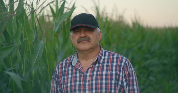 Retrato de um agricultor idoso em um milheiral olhando para a câmera e sorrindo — Vídeo de Stock