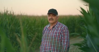 Yaşlı bir çiftçinin portresi yavaş çekimde mısır tarlasında kameraya bakıyor.