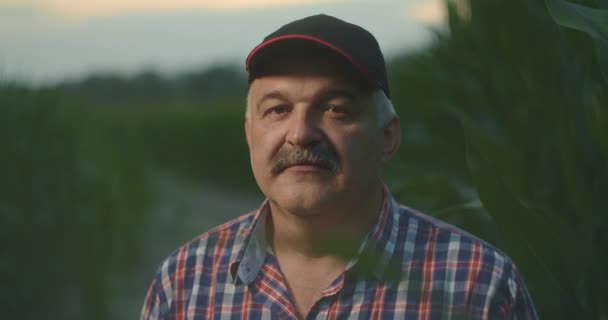 Поздно вечером водитель трактора на кукурузном поле снимает кепку и смотрит прямо в камеру после тяжелого рабочего дня — стоковое видео