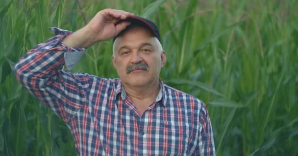 Een groot portret van een boer die 's morgens vroeg in de camera kijkt en zijn pet afdoet in een veld met maïs. — Stockvideo