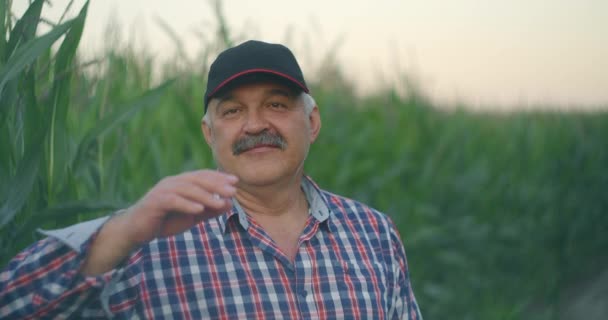 Starszy rolnik filmuje czapkę bejsbolową gapiącą się w kamerę i uśmiechającą się stojąc na polu z kukurydzą — Wideo stockowe