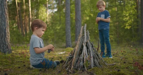 Två pojkar stoppar pinnar i en brand i skogen under en vandring. Pojkar i skogen förbereder sig för att tända en eld och sätta ihop pinnar — Stockvideo