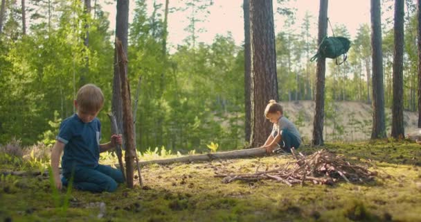 Två små pojkar som samlar ved i skogen. Två små bröder i skogen samlar ved och gör upp eld. — Stockvideo