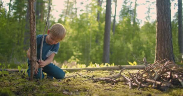 Le garçon dans la forêt ramasse du bois de chauffage. ramasser des bois de chauffage secs dans la forêt d'été au camping. broussailles pour feu de camp en randonnée estivale. — Video