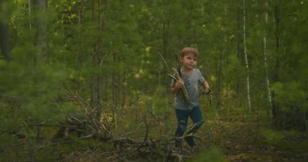 3歳の男の子は、キャンプ場の照明に使われる木の棒を持っています — ストック動画