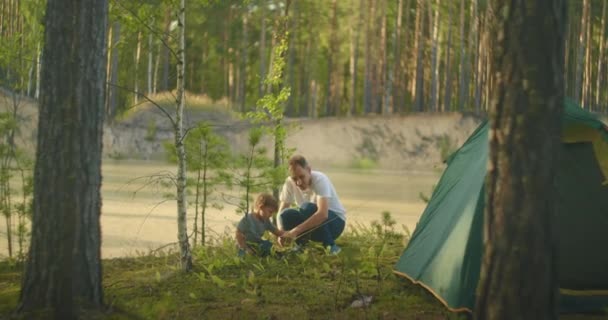 Befestigen Sie Heringe im Boden, um im Wald am See ein Zelt aufzubauen. Familienurlaub in der Natur. Ein Junge von 3 Jahren und ein Mann Vater zusammen auf einer Wanderung stellen ein Zelt. — Stockvideo