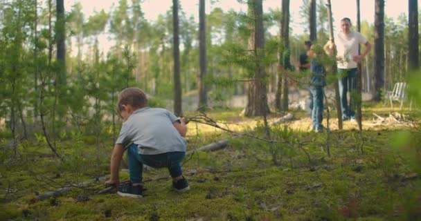森の中で薪を集めている2人の少年。森の中の二人の弟が木を集めて火を起こす — ストック動画