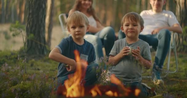 Két fiú 3-6 évig együtt sütik a tűzmályvacukrot a szülők hátterében álló botokon. Családi túra az erdőben egy sátorral. Család a természetben a túra — Stock videók