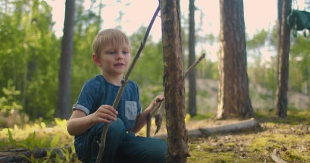 森の中の少年は薪を集める。キャンプで夏の森の薪を集めてる。夏のハイキングでキャンプファイヤーのためのブラシウッド. — ストック動画
