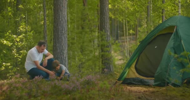 父亲教一个3岁的男孩在松树林中远足时搭起一个帐篷。父亲和儿子在树林里搭起了一个帐篷过夜 — 图库视频影像