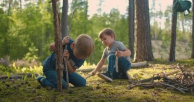 Ormanda odun toplayan iki küçük çocuk. İki küçük kardeş ormanda odun toplar ve ateş yakarız.