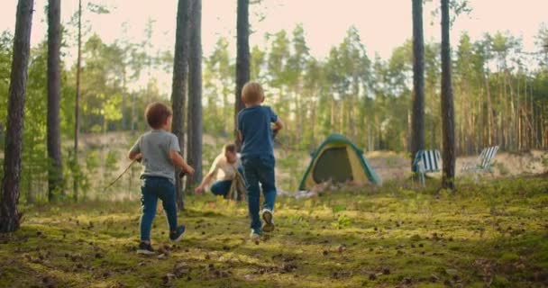 Két fiú botokat gyűjt az erdőben egy nagy családi tábortűzhöz egy sátor és egy tó hátterében. A család tüzet gyújt kempingezéshez és mályvacukor sütéshez. — Stock videók