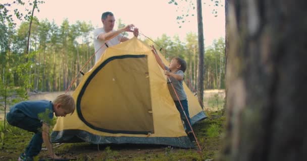 Anak-anak, bersama dengan ayah mereka, mendirikan tenda untuk malam hari dan berkemah di hutan selama perjalanan. Seorang pria dan dua anak berusia 3-5 tahun bersama-sama dalam sebuah hiking mengumpulkan tenda dalam gerakan lambat — Stok Video