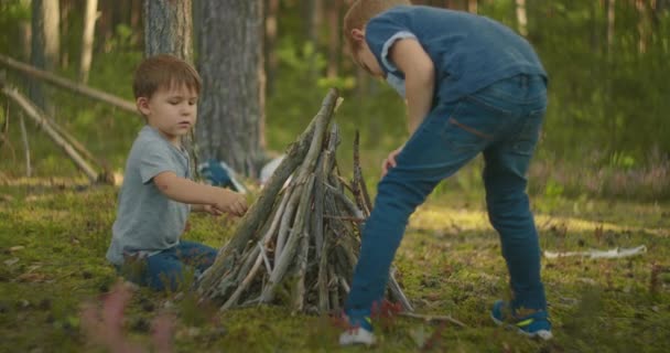 Δύο αγόρια έβαλαν ξύλα σε μια φωτιά στο δάσος κατά τη διάρκεια μιας πεζοπορίας. Τα αγόρια στο δάσος ετοιμάζονται να ανάψουν φωτιά και να βάλουν ξύλα μαζί. — Αρχείο Βίντεο