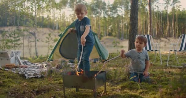 Two boys sitting by a fire against a tent in the woods on the shore of the lake fry marshmallows on fire. Brothers 3-6 years together burn sticks on fire — Stock Video
