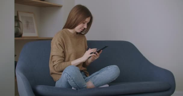 Femme d'affaires tapant le message sur le téléphone portable au bureau à la maison. Jeune fille bavarder au téléphone au ralenti. Fermer les mains de la jeune femme en utilisant un smartphone sur le canapé. — Video