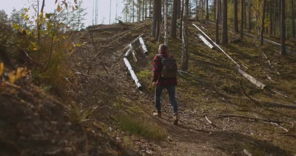 Медленное движение: человек в зеленом лесу в солнечный осенний день. Вид сзади активного здорового самца с рюкзаком, идущего в сосновом лесу. Мужчина путешествует по тропе, исследуя природу — стоковое видео