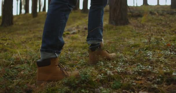 Man Walks along the Mountains to the Top. Turista en botas Ir a lo largo de la carretera de piedra en el fondo un hermoso paisaje. Concepto de viaje Personas activas en el camino hacia la victoria Avanzar de cerca — Vídeo de stock