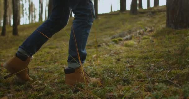 Man Walks along the Mountains to the Top. Turista in Stivali Percorrendo la Strada di Pietra sullo sfondo un bellissimo paesaggio. Concetto di viaggio Persone attive sulla via della vittoria Avanzare da vicino — Video Stock