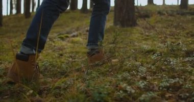 Ormanda yürüyen bir insan. Botlara ya da yürüyüş ayakkabılarına odaklan. İnsan bacaklarının yaz ormanlarında yürüyüşünü yakından izleyin. Orman yolunda yürüyen bir adam..