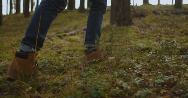 人は森の中を歩いている。ブートやハイキングシューズにフォーカスを閉じます。夏の森の中を歩く人の足のビューを閉じます。森の小道をハイキングする男. — ストック動画