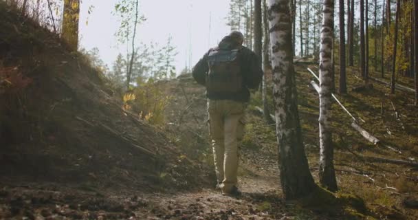 Middle-aged male hiker is walking alone in forest at sunny autumn day, carrying backpack, relaxing — Stock Video