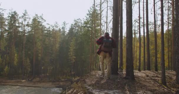 Літній чоловік з рюкзаком йде в сонячному лісі в осінній день, вид ззаду людини, спокійний піший туризм і туризм — стокове відео