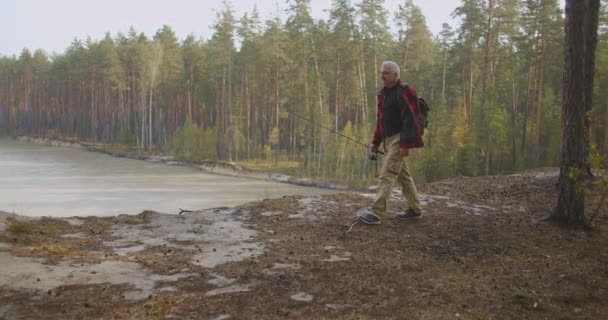 Cestování v lesní oblasti, muž s prutem je chůze na pobřeží řeky k rybolovu, zbytek rybáře v přírodě — Stock video