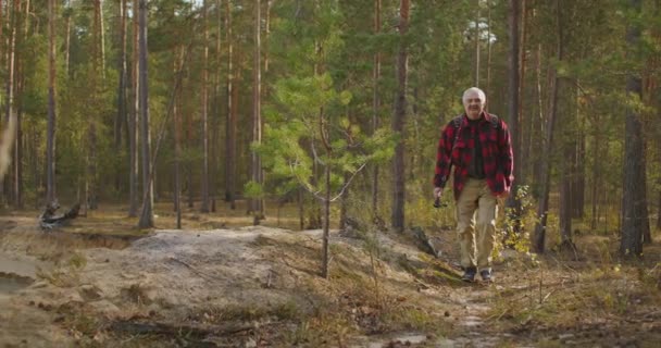 Fiskare med spö i handen går på stranden mellan höga tallar på höstdagen, vandring och camping på semester och semester — Stockvideo