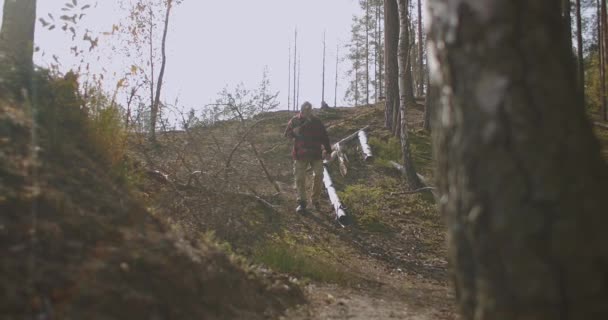 Trött man går vilse i skogen, går ensam mellan träd på höstdagen, svampplockare eller ensam vandrare — Stockvideo