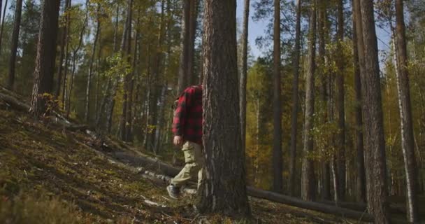 Lesní je procházka v lese na podzim, kontrola lesní čtvrti, muž středního věku s batohem je turistika sama — Stock video