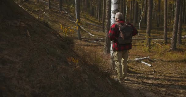 Gri saçlı adam sonbahar günü ormanda tek başına yürüyor, doğa yürüyüşü ve sırt çantasıyla geziyor, sağlıklı bir yaşam tarzı. — Stok video