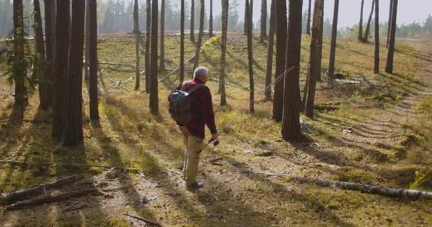 Camper geht zum Angeln, geht durch den Wald, trägt Rucksack und Angelrute, Fischer mittleren Alters — Stockvideo