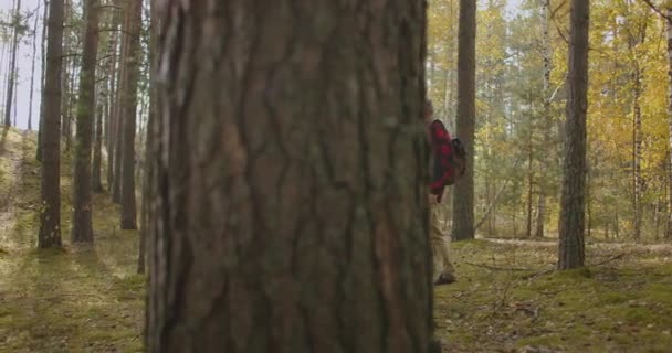 Mann genießt die Natur, Wandern allein im sonnigen Wald am Herbsttag, Backpacker erkundet Gegend, Wandern und entspannen — Stockvideo