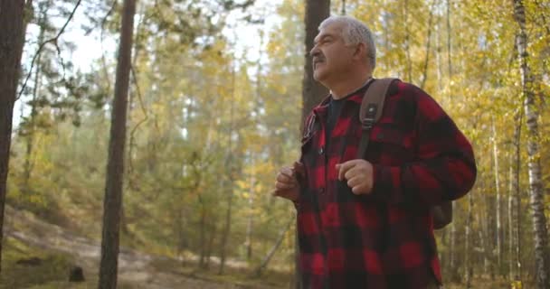 Männlicher Tourist mit Rucksack ist allein im herbstlich sonnigen Wald unterwegs, schaut sich um und bewundert die schöne Natur — Stockvideo
