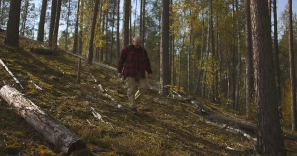 Samotny mężczyzna w średnim wieku jest chodzenie w jesiennym lesie, turystyka i turystyka są przydatne dla zdrowia, zdrowy styl życia — Wideo stockowe