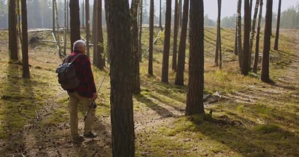 Orta yaşlı balıkçı sonbaharda ormanda yürüyor, sabahları sakin ve pitoresk bir yere taşınıyor. — Stok video