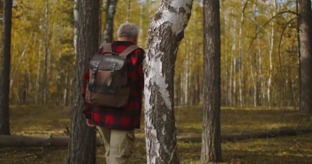 Pilzsammler läuft allein im Wald, trägt Rucksack, Mann mittleren Alters trägt kariertes rotes Hemd — Stockvideo