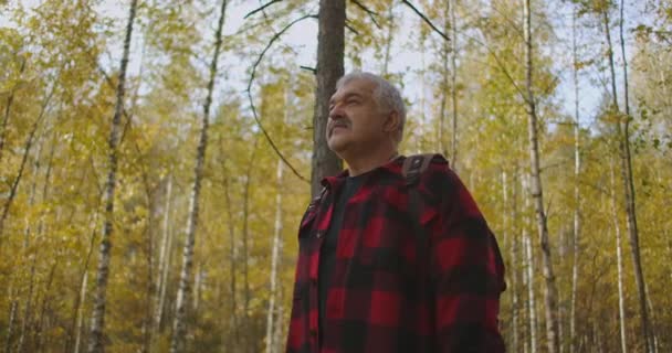Γκριζομάλλης άντρας με μουστάκι περπατά στο δάσος την ημέρα του φθινοπώρου, απολαμβάνοντας τη φύση και το τοπίο, εξερευνώντας το φυσικό καταφύγιο — Αρχείο Βίντεο