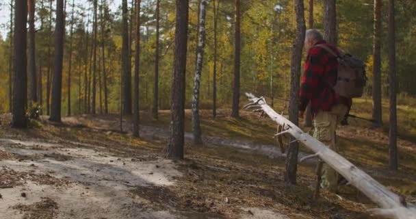 Fischer geht morgens zum Angeln, bewegt sich durch den Wald, trägt Rucksack und Angelrute — Stockvideo