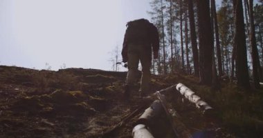 Turist ormandaki kampa gidiyor, ormanda tek başına yürüyor, yamaçtan yükselen kişinin arka görüntüsü.