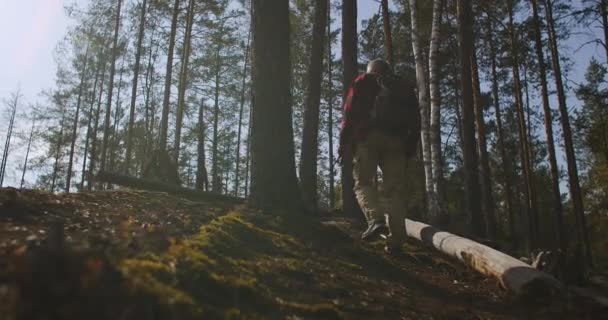 Pěší túra se brodí houštinou lesa, stoupá na kopec, kráčí za slunečného podzimního dne, zadní pohled na postavu člověka — Stock video