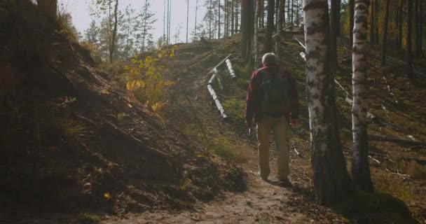 晴れた朝森の中の漁師の穏やかな散歩ロッドとバックパックを持つ男はゆっくりと木の間を歩いています — ストック動画