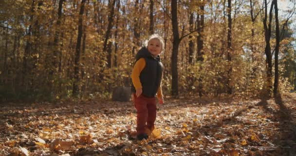Mały uśmiechnięty, kręcony chłopiec obserwuje krople liści stojąc w jesiennym parku. Oglądaj spadające liście spadające w słońcu w zwolnionym tempie — Wideo stockowe